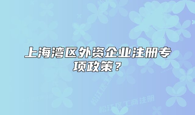 上海湾区外资企业注册专项政策？