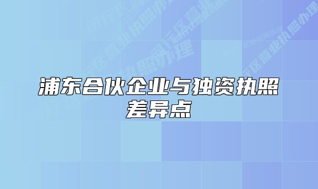 浦东合伙企业与独资执照差异点