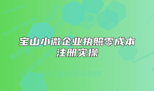 宝山小微企业执照零成本注册实操