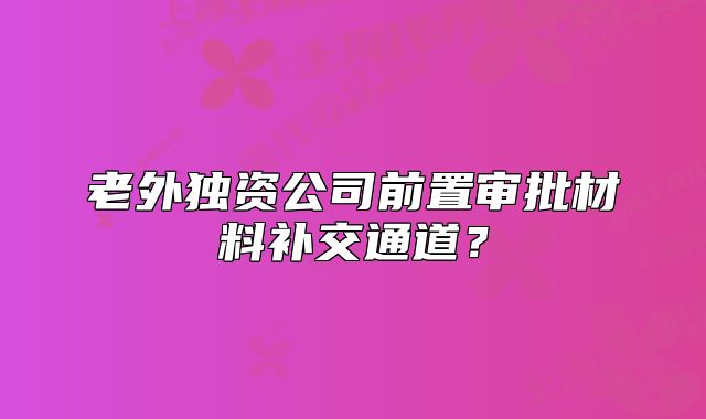 老外独资公司前置审批材料补交通道？
