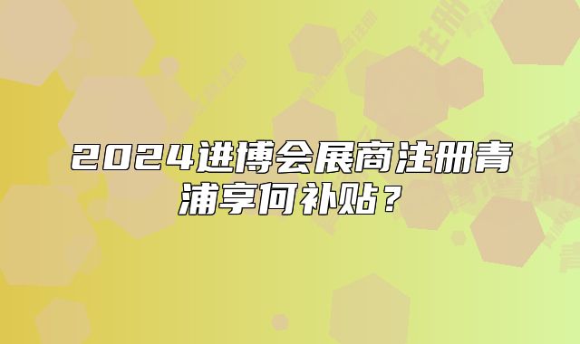 2024进博会展商注册青浦享何补贴？
