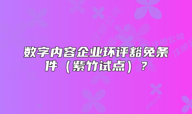 数字内容企业环评豁免条件（紫竹试点）？