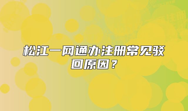 松江一网通办注册常见驳回原因？