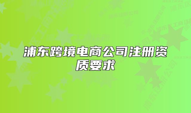 浦东跨境电商公司注册资质要求