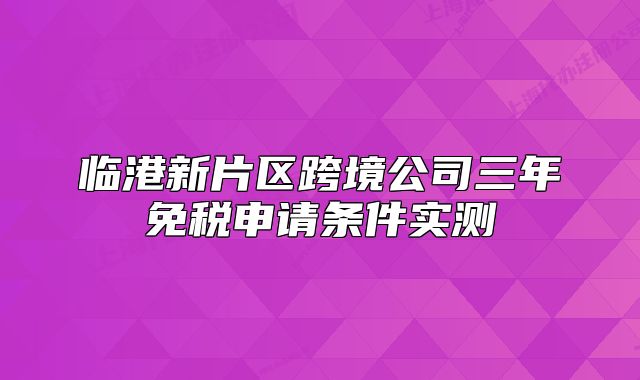 临港新片区跨境公司三年免税申请条件实测