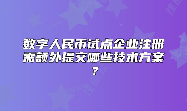 数字人民币试点企业注册需额外提交哪些技术方案？