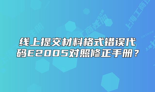 线上提交材料格式错误代码E2005对照修正手册?