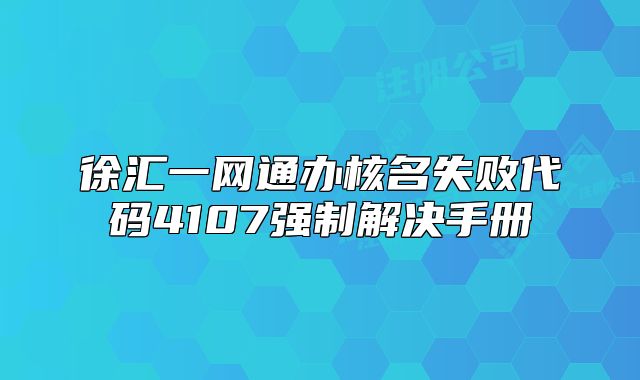 徐汇一网通办核名失败代码4107强制解决手册
