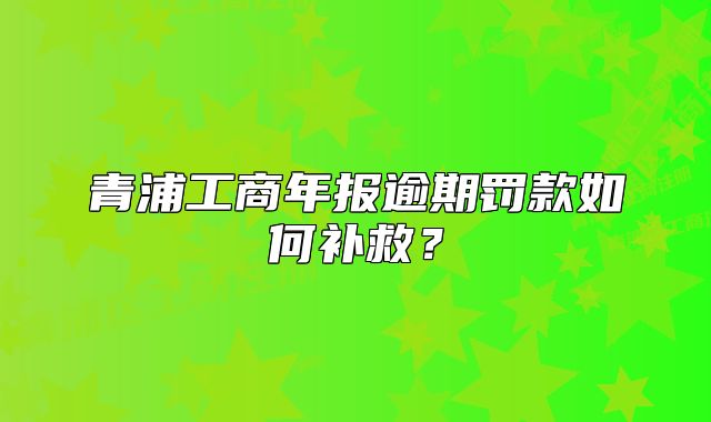 青浦工商年报逾期罚款如何补救？