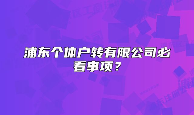 浦东个体户转有限公司必看事项?