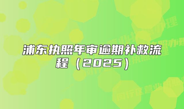 浦东执照年审逾期补救流程(2025)