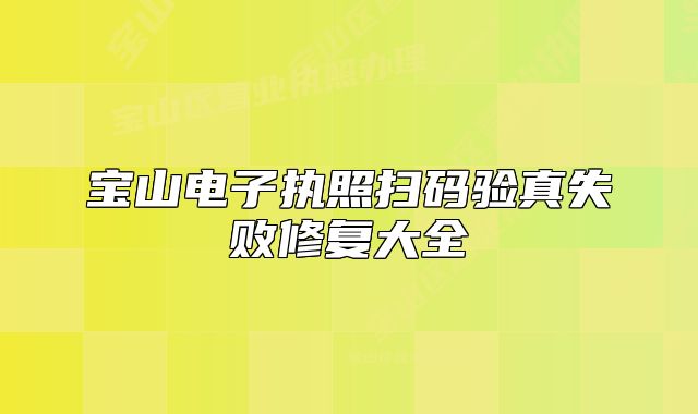 宝山电子执照扫码验真失败修复大全