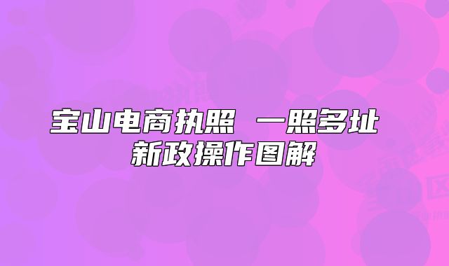 宝山电商执照 一照多址 新政操作图解