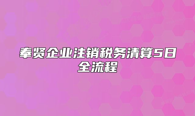 奉贤企业注销税务清算5日全流程