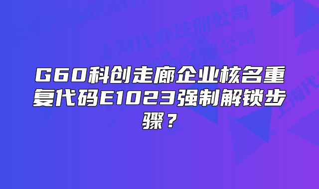 G60科创走廊企业核名重复代码E1023强制解锁步骤？