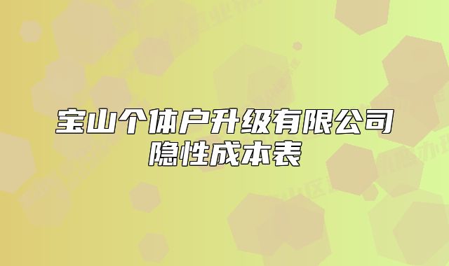 宝山个体户升级有限公司隐性成本表