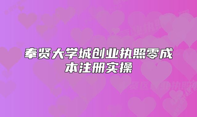 奉贤大学城创业执照零成本注册实操