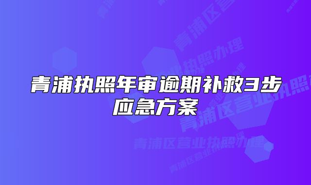 青浦执照年审逾期补救3步应急方案