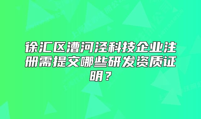 徐汇区漕河泾科技企业注册需提交哪些研发资质证明？