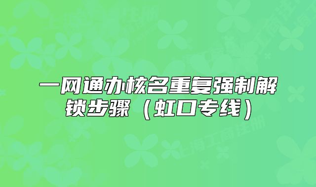 一网通办核名重复强制解锁步骤（虹口专线）
