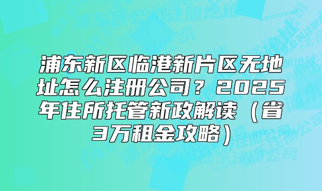 浦东新区临港新片区无地址怎么注册公司？2025新政解读
