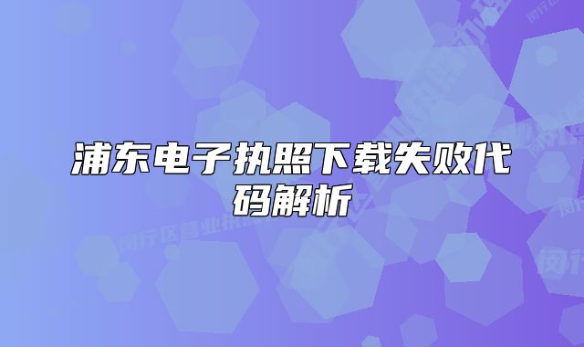 浦东电子执照下载失败代码解析