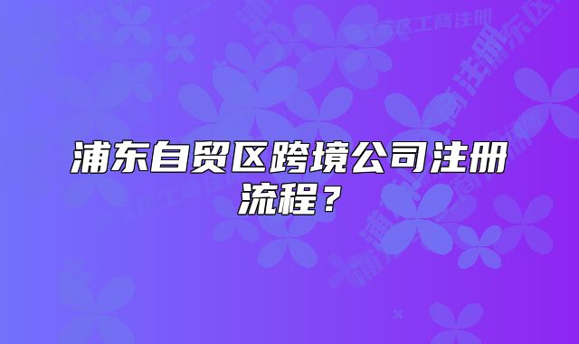 浦东自贸区跨境公司注册流程?