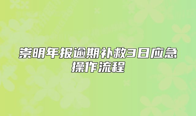 崇明年报逾期补救3日应急操作流程