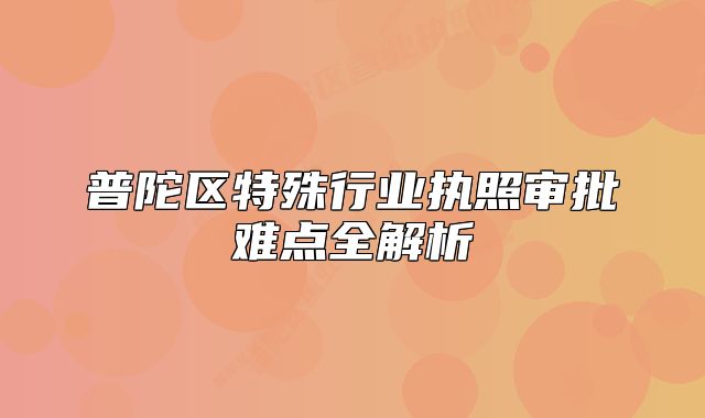 普陀区特殊行业执照审批难点全解析