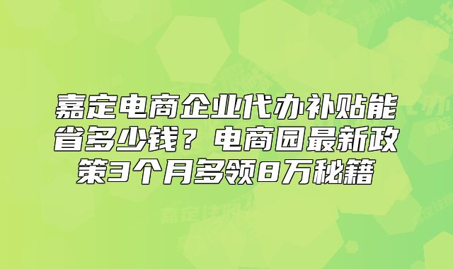 嘉定电商企业代办补贴能省多少钱？电商园最新政策3个月多领8万秘籍