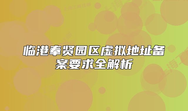 临港奉贤园区虚拟地址备案要求全解析