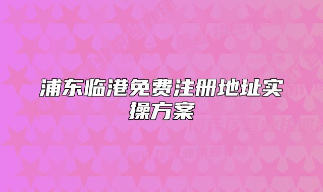 浦东临港免费注册地址实操方案