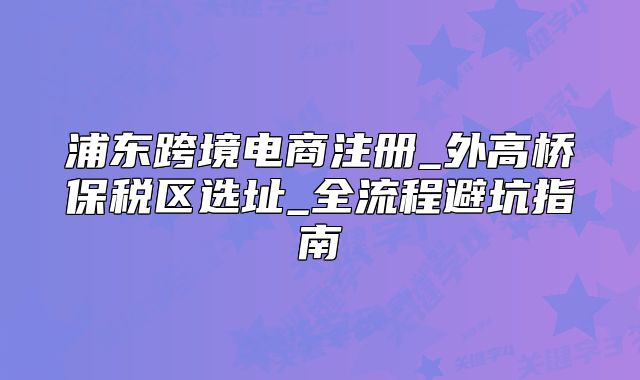 浦东跨境电商注册_外高桥保税区选址_全流程避坑指南