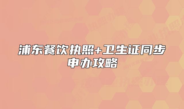 浦东餐饮执照+卫生证同步申办攻略