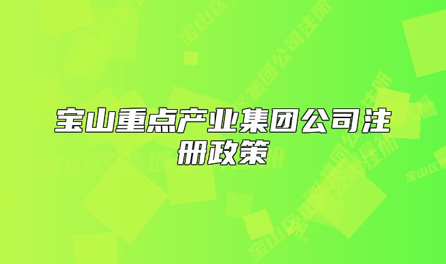 宝山重点产业集团公司注册政策