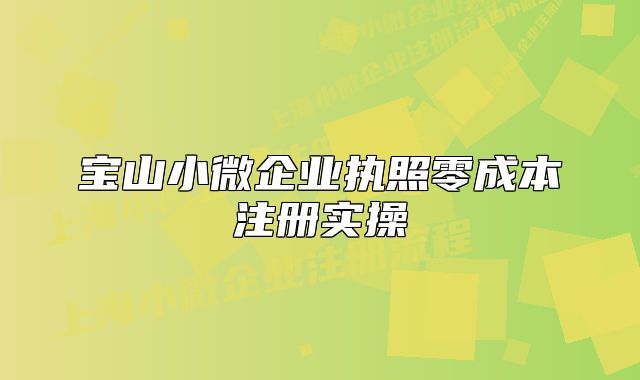 宝山小微企业执照零成本注册实操