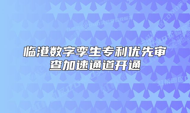 临港数字孪生专利优先审查加速通道开通
