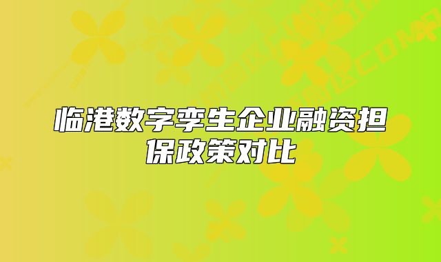 临港数字孪生企业融资担保政策对比