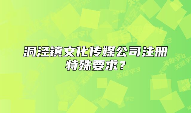 洞泾镇文化传媒公司注册特殊要求？