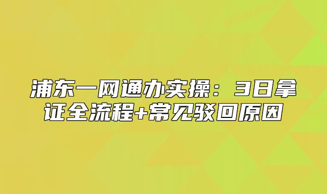 浦东一网通办实操:3日拿证全流程+常见驳回原因