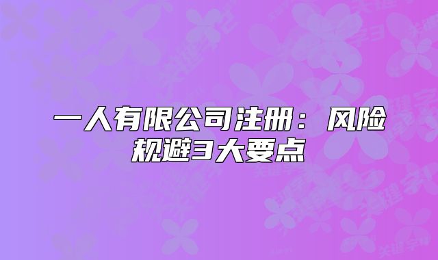 一人有限公司注册：风险规避3大要点