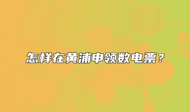 怎样在黄浦申领数电票?