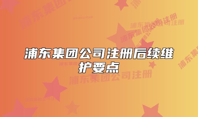 浦东集团公司注册后续维护要点