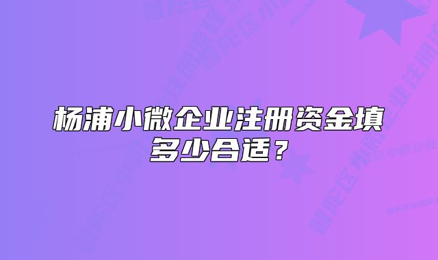 杨浦小微企业注册资金填多少合适？
