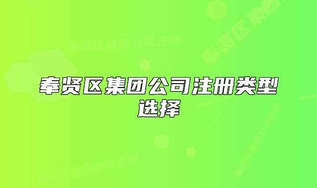 奉贤区集团公司注册类型选择