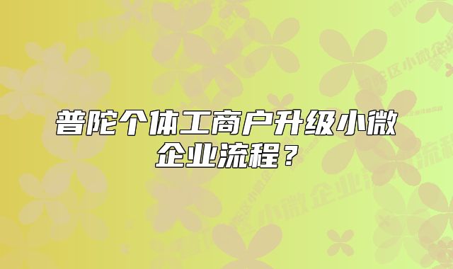普陀个体工商户升级小微企业流程?