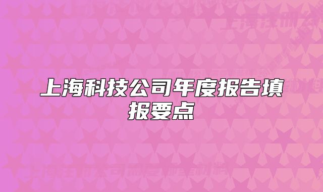 上海科技公司年度报告填报要点