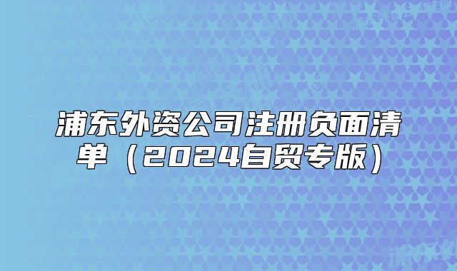 浦东外资公司注册负面清单（2024自贸专版）