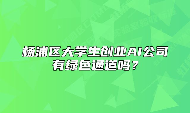杨浦区大学生创业AI公司有绿色通道吗?