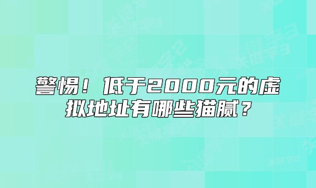 警惕!低于2000元的虚拟地址有哪些猫腻?